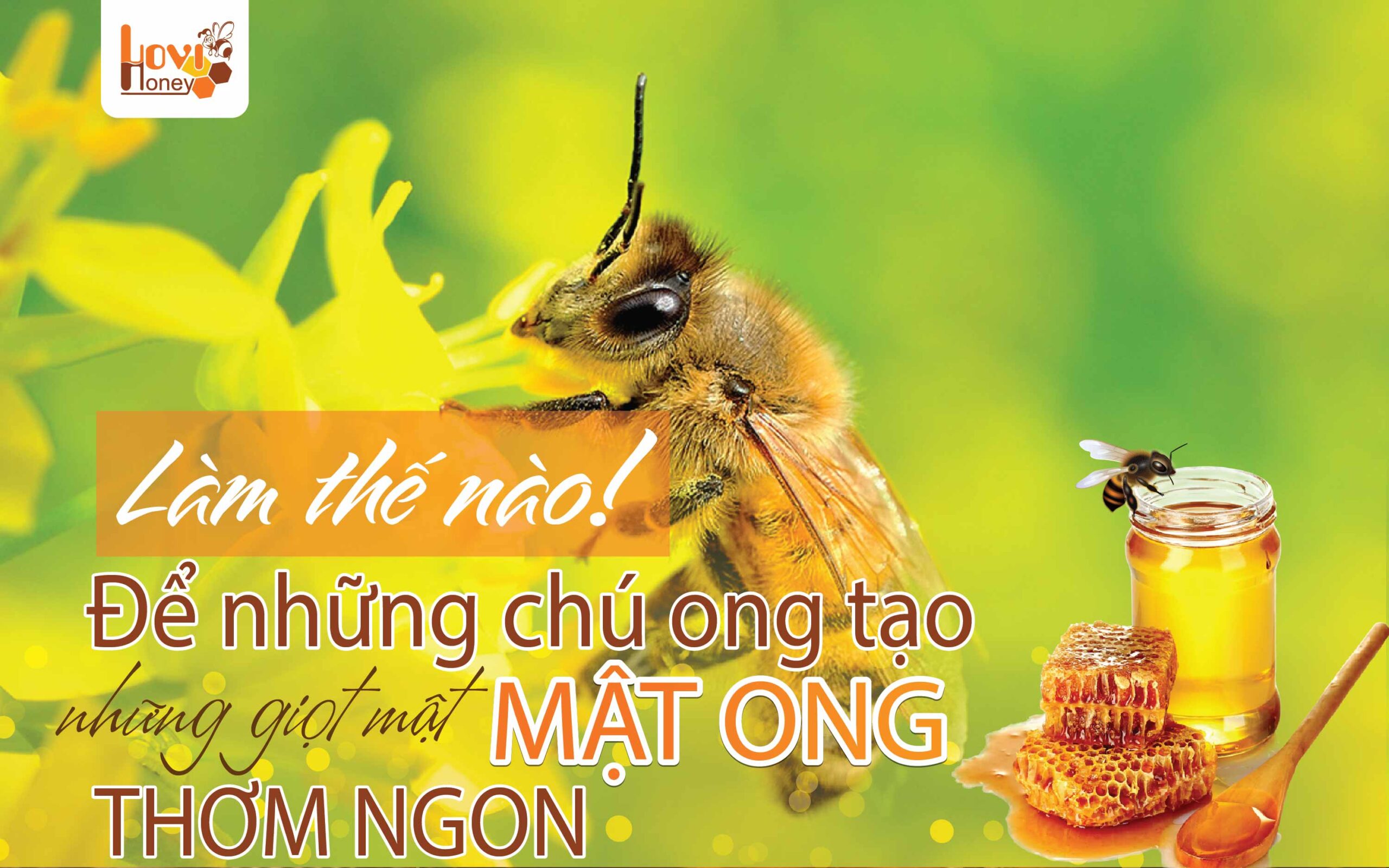 Làm thế nào để những chú ong tạo ra được những giọt mật ong thơm ngon