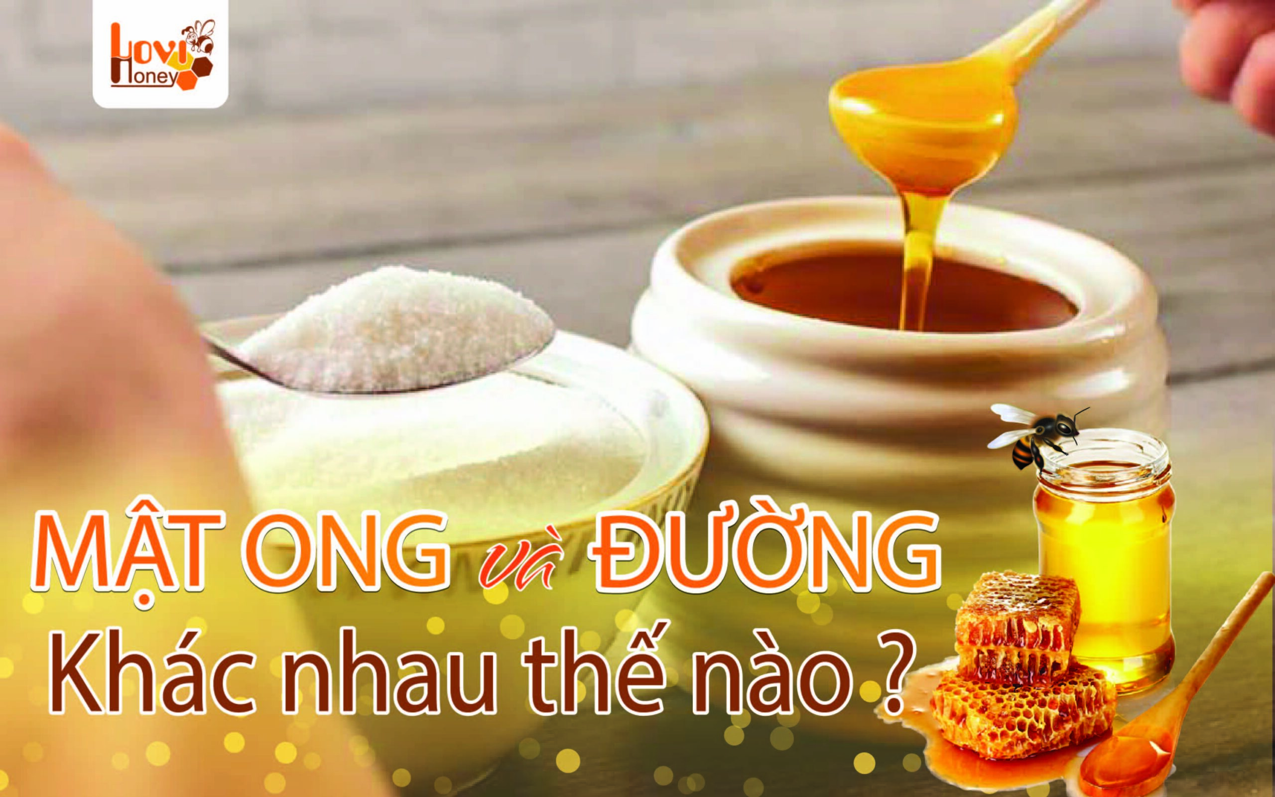 mat-ong-va-duong-khac-nhau-cho-nao