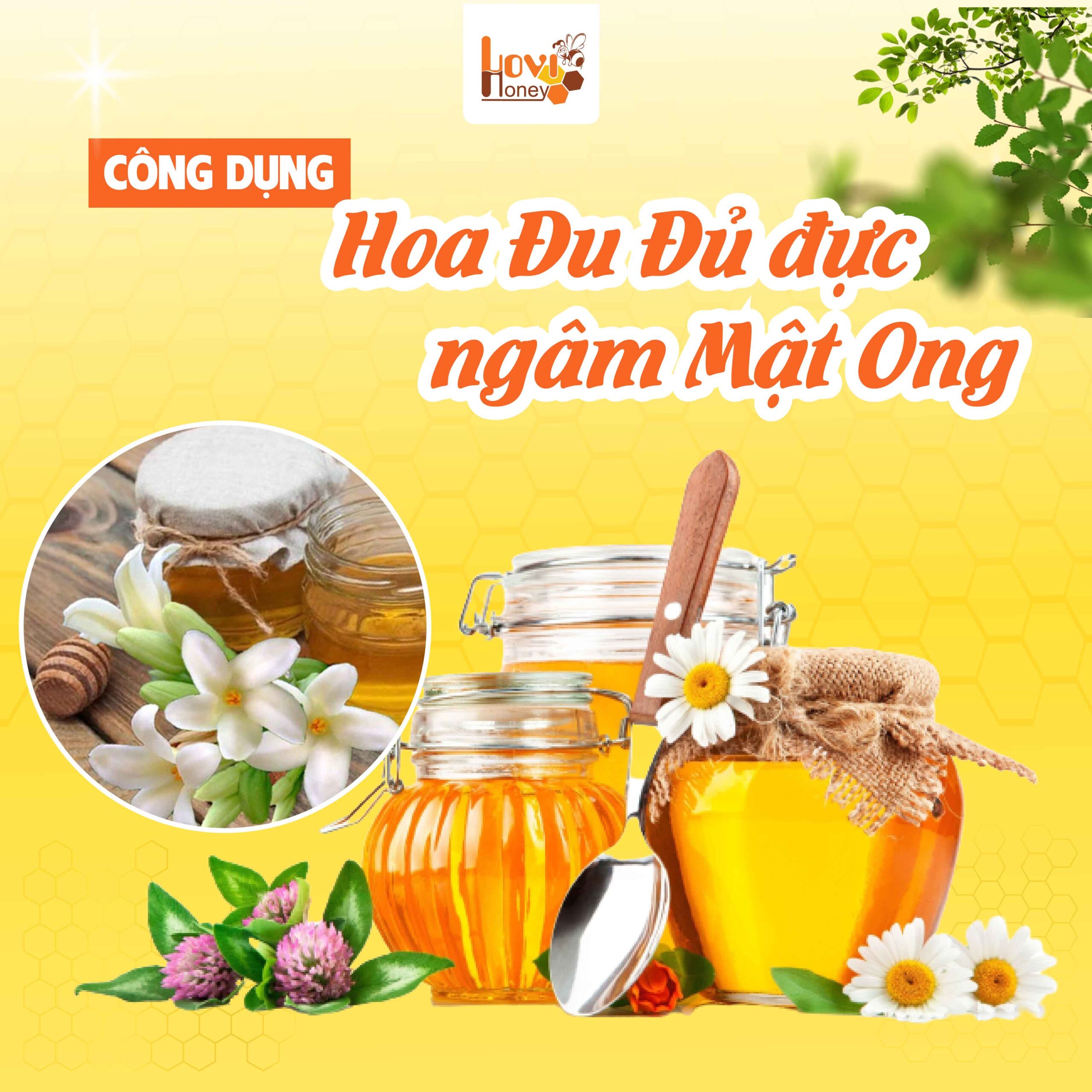 hoa-du-du-duc-ngam-mat-ong-duoc-lieu-than-thanh