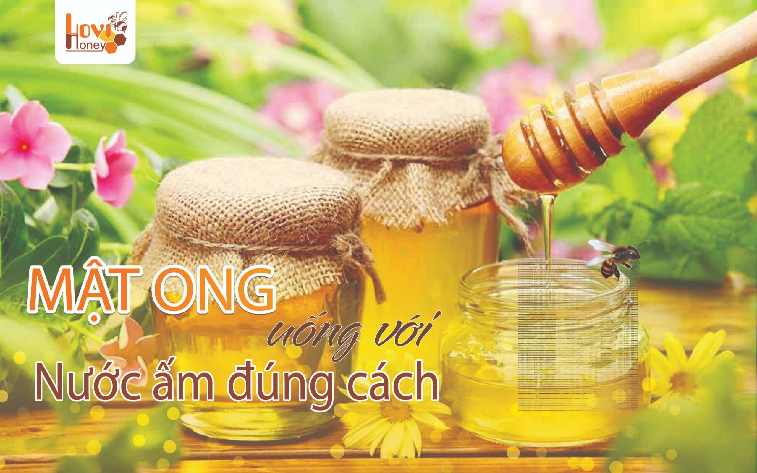 mat-ong-uong-voi-nuoc-am-buoi-sang-dung-cach
